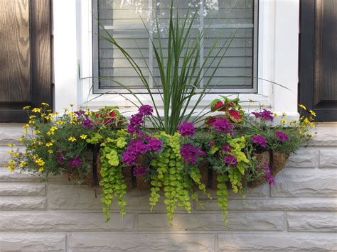 metal window plant boxes|ready planted window boxes.